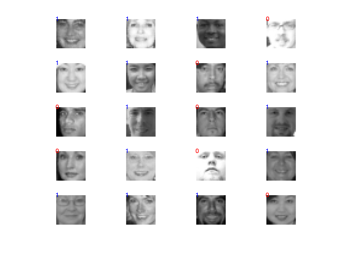 A 5 by 5 grid of face images with labels of whether each of them are smiling.
